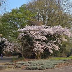 Amstelpark in front of Hotel