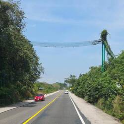 Übergang für die Affen 🐵 - KEIN SCHERZ 🤣