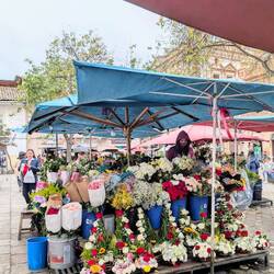 Blumenmarkt