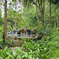 The Gardens by the Bay.