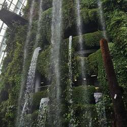 Waterfall at the entrance to the Cloud Forest.