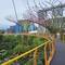 Walking along the skyway.