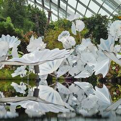 Sculpture inside the Cloud Forest.