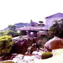 Nice little garden at Sengan-en