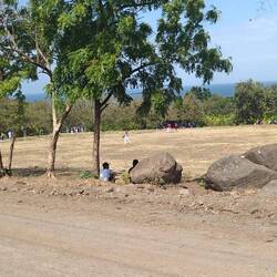 Sonntags wird immer Baseball gespielt