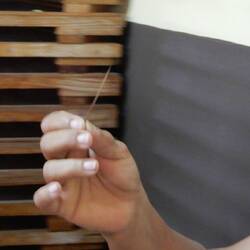 A plant spike to feralise the flower