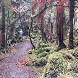 These trails just looked like movie sets...