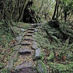 There was a lot of work put in to some parts of these trails. Very nicely done.