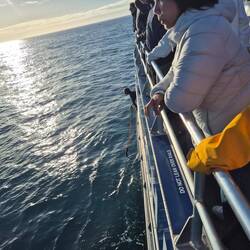 Kapitän sucht nach Geräuschen