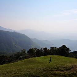 View from Moon Plains