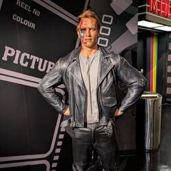 Arnold Schwarzenegger (Terminator)