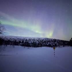 Die ersten Polarlichter