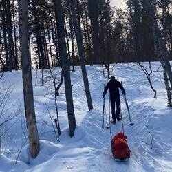 Wenn es zu steil wird und die Pulka zu schwer zieht, werden die Skier in die Hand genommen