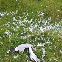 Hoffentlich ist nix passiert?🙄