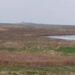 Zwei km entfernt, der Fährhafen zur Insel Ameland.