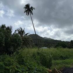 Mountains in the middle of the island