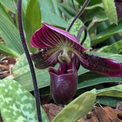 My favorite. Right by the exit nestled in some others.