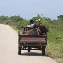 Die SUV werden durch Motorräder mit Ladefläche ersetzt...