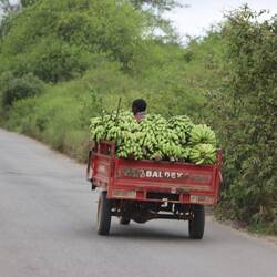 ...die alles denkbare transportieren...
