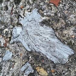 Die Steine sind aus versteinerten Korallen gehauen. Dämpft die Kanonenkugeln