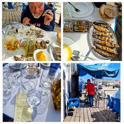 Zufallsbegegnung am Hafen