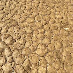 Ausgetrocknetes Flussbett