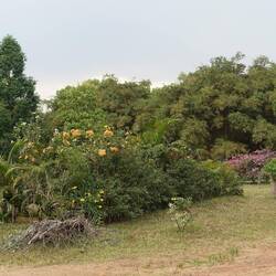 Der Botanische Garten von Bingerville ist eher ein schön bepflanzter Park