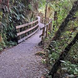 The path to/from the gorge.