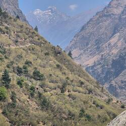 Immer wieder der Blick auf Annapurna II