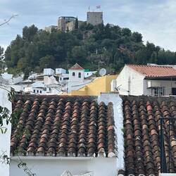Our rooftop view