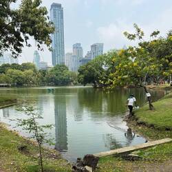 Suchbild: Finde den Waran