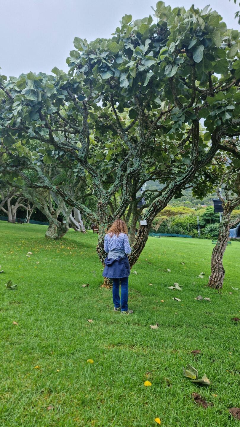 Botanical Garden