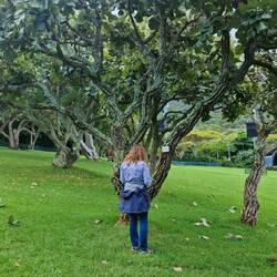 Botanical Garden