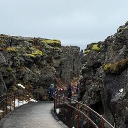 Die reißt die Erde auf