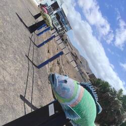 1 et 2 et 3 poissons