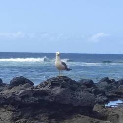 Comme chez nous !! 😀