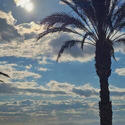 Mit der Aussicht schmeckt er noch besser