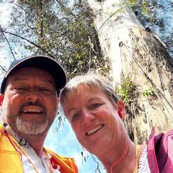 Ein fast 600-jähriger Baum hinter uns zeugt vom Anfang des Anwesens