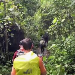 Km vertical, segunda parte