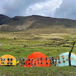 Los crampones al sol