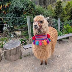 Ich hab mich extra hübsch gemacht