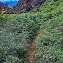 Part of our return path.