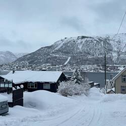 Das Wetter lockt mich nicht gerade raus