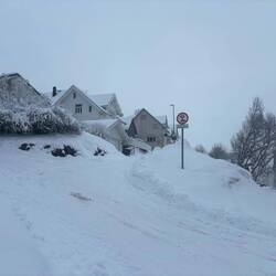 Gleich bin ich zurück im Hostel