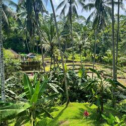 Manuaba Wasserfall Weg ☺️