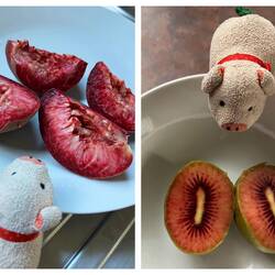 Black Boy Peach & Red Kiwi