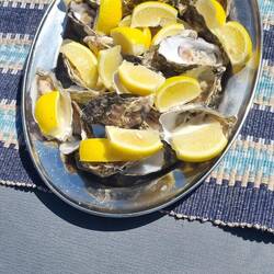 Diese Austern schmecken mir!