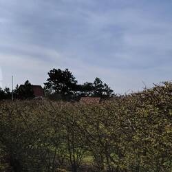 So sieht das Wetter heute aus.