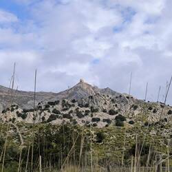 Puig Major