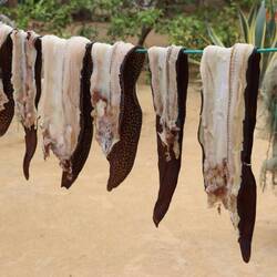 ...diese werden in einem der Höfe getrocknet